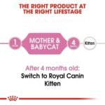 رويال كانين – طعام جاف للقطط الأم والقطط الصغيرة 2 كجم - Image 2