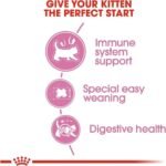 رويال كانين – طعام جاف للقطط الأم والقطط الصغيرة 2 كجم - Image 7