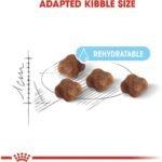 رويال كانين – طعام جاف للقطط الأم والقطط الصغيرة 2 كجم - Image 4