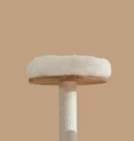 ⁦شجرة قطط خشبية كبيرة من خشب صلب متين – مكان لعب واستراحة للقطط⁩ - الصورة ⁦4⁩